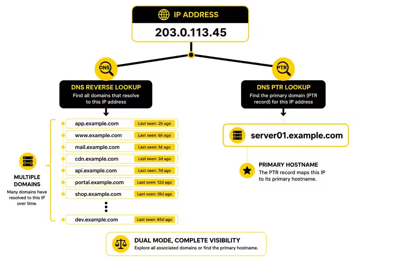 how Passive Reverse DNS Lookup and DNS PTR Lookup work