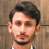 Muhammad Saleem Malik