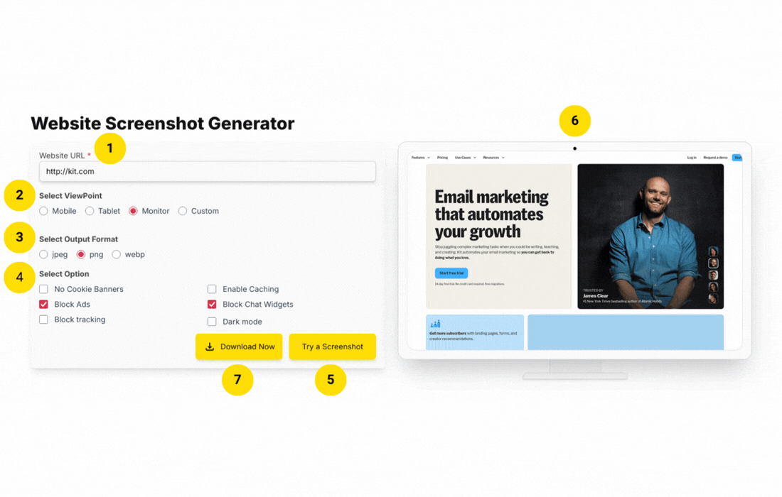How to use Screenshot Generator tool?